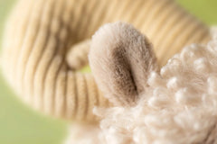 Jellycat - Ramsley Sheep