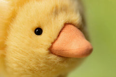 Jellycat - Dorit Duckling